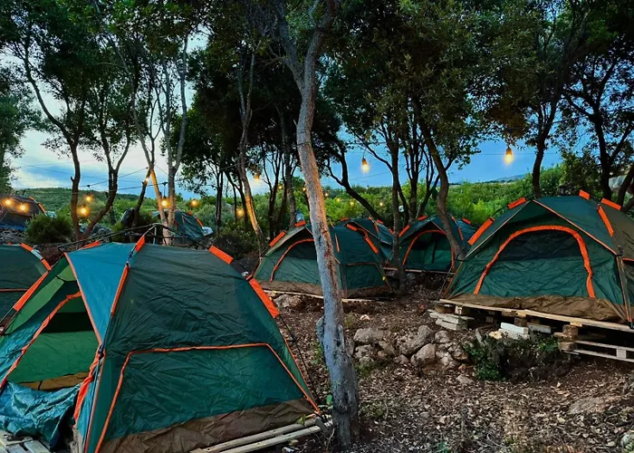 Camping Aquarium