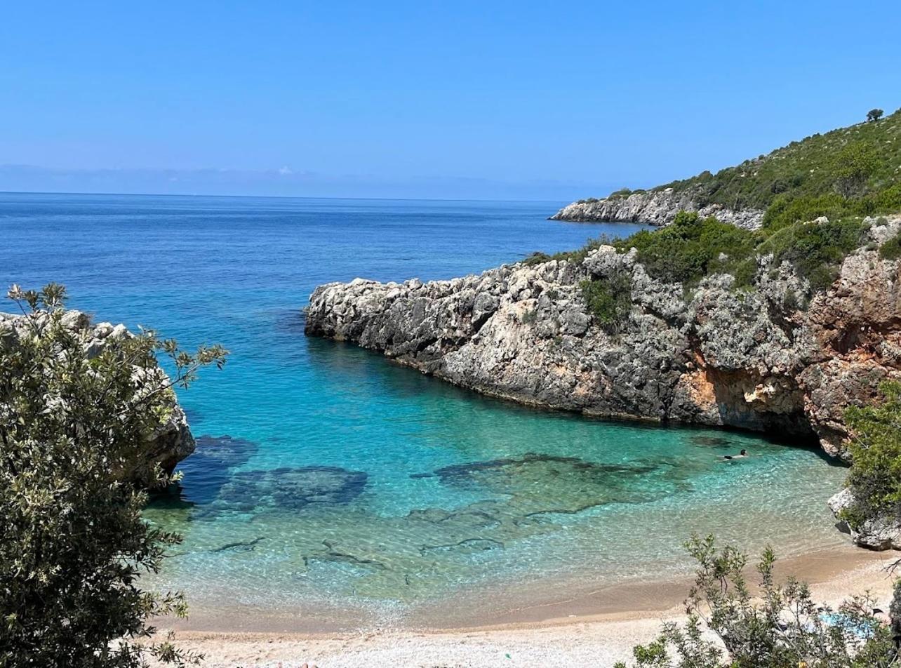 Aquarium * Himare